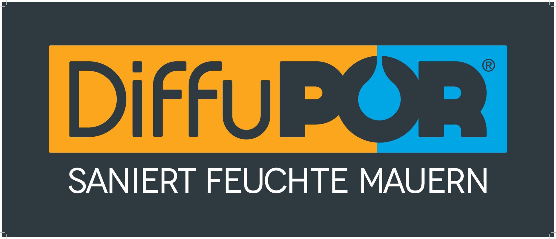 Diffupor Logo 60x25cm 2